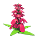 Snapdragon Flower